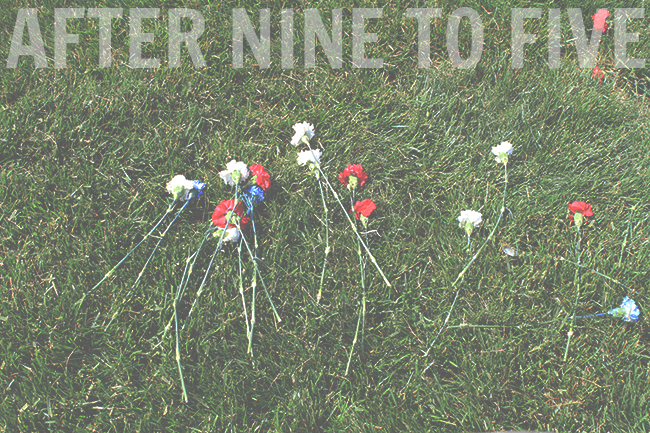 Roses in Arlington